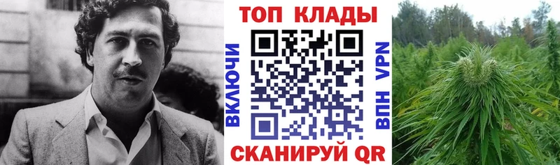 Где можно купить наркотики Сальск КОКАИН  NBOMe  СОЛЬ  Канабис  MDMA  ГАШИШ  mega рабочий сайт  МЕФ 