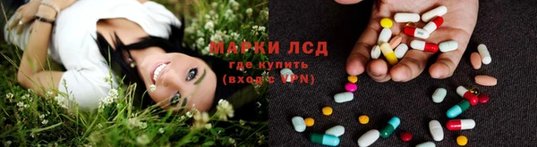 круглые Абаза