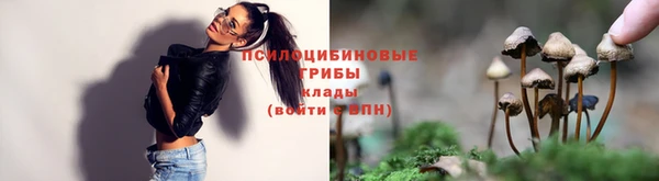 соль ск Абдулино