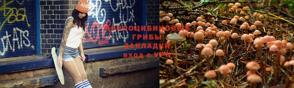 соль ск Абдулино