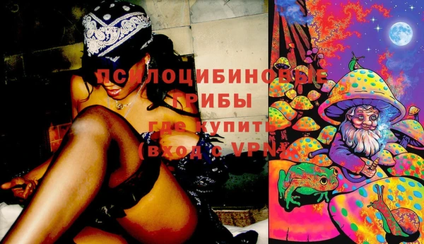 твердый Абинск