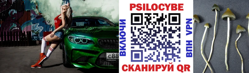 площадка как зайти  Сальск  Псилоцибиновые грибы GOLDEN TEACHER 